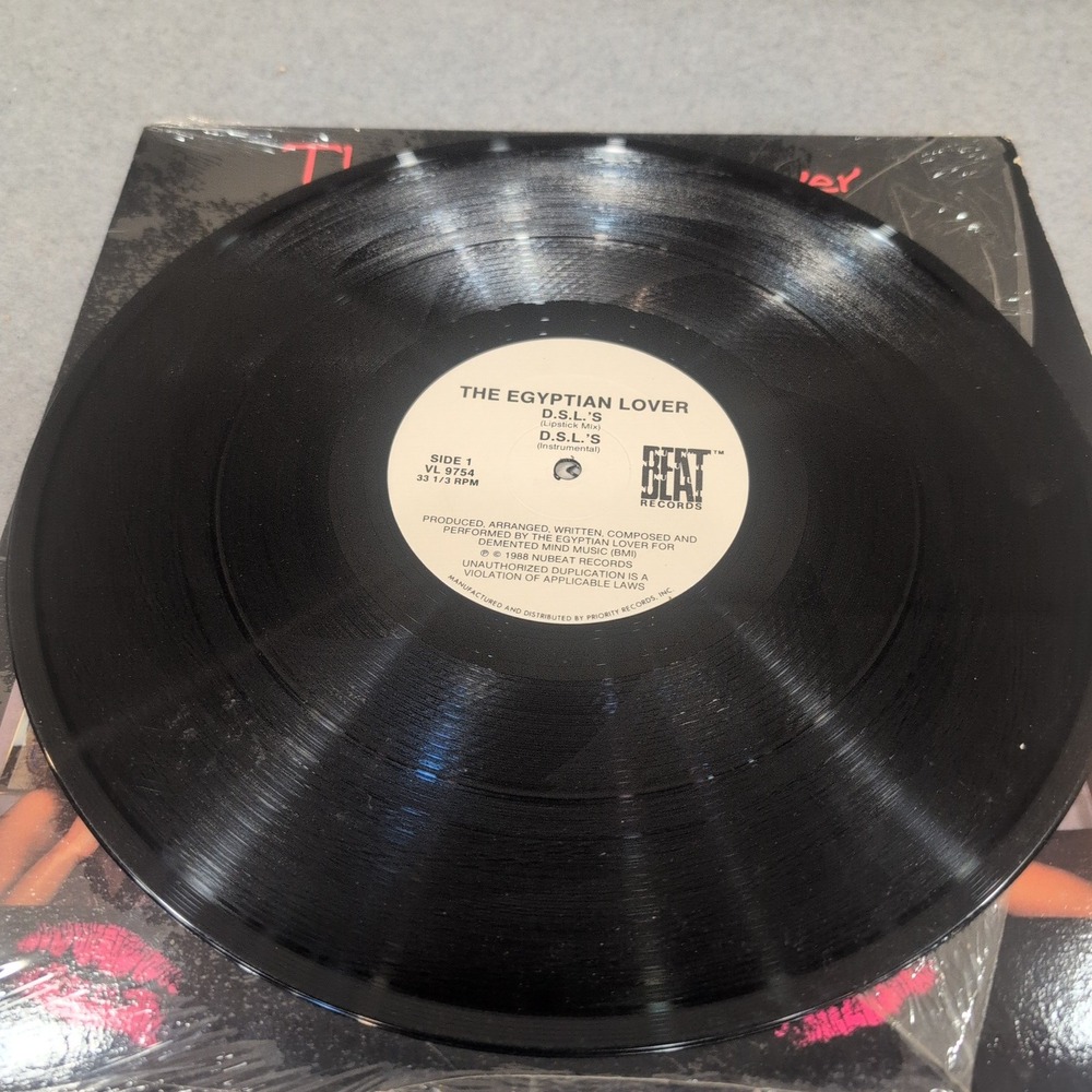 The Egyptian Lover DSL'S I Want Cha 12" Vinyl Single 1988 NuBeat VL 9754 VG - Picture 5 of 6